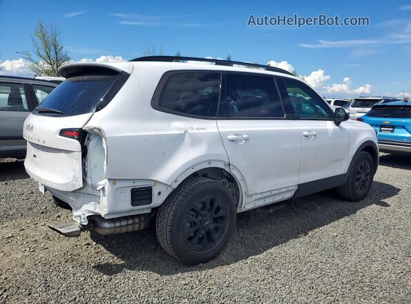 5XYP5DGC6RG533078 2024 KIA TELLURIDE White Tył prawy