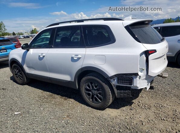 5XYP5DGC6RG533078 2024 KIA TELLURIDE White Tył lewy