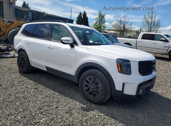5XYP5DGC6RG533078 2024 KIA TELLURIDE White Przód prawy