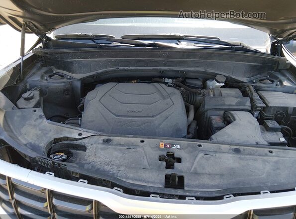 5XYP5DGC7PG377579 2023 KIA TELLURIDE Beige Widok z tyłu