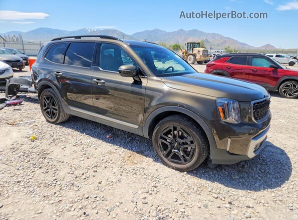 5XYP5DGC7PG396228 2023 KIA TELLURIDE Brown Передня права чверть