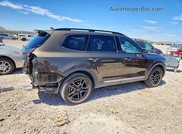 5XYP5DGC7PG396228 2023 KIA TELLURIDE Brown Задня права чверть