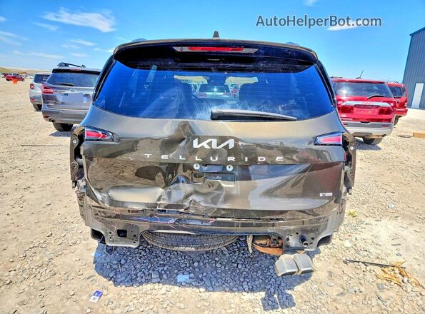 5XYP5DGC7PG396228 2023 KIA TELLURIDE Brown Вид ззаду