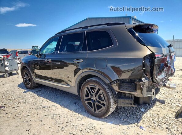 5XYP5DGC7PG396228 2023 KIA TELLURIDE Brown Задня ліва чверть