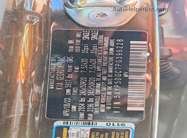 5XYP5DGC7PG396228 2023 KIA TELLURIDE Brown Вид наклейки з VIN-кодом