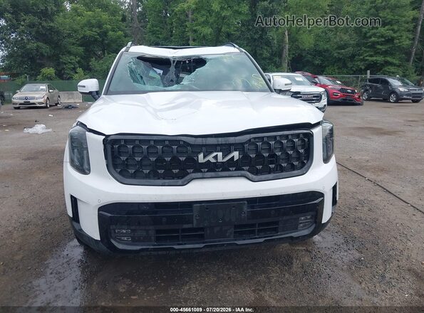 5XYP5DGC7RG510702 2024 KIA TELLURIDE Белый Вид задней части салона