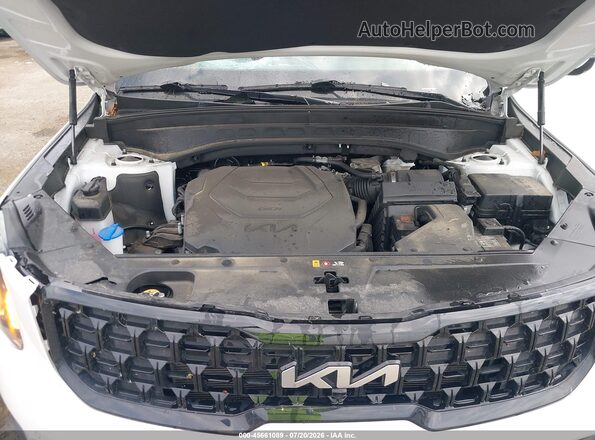 5XYP5DGC7RG510702 2024 KIA TELLURIDE Белый Вид сзади