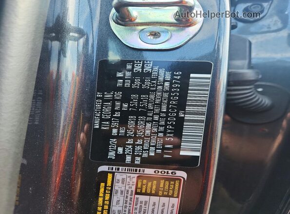 5XYP5DGC7RG539746 2024 KIA TELLURIDE Gray სალონის 360-გრადუსიანი ხედი