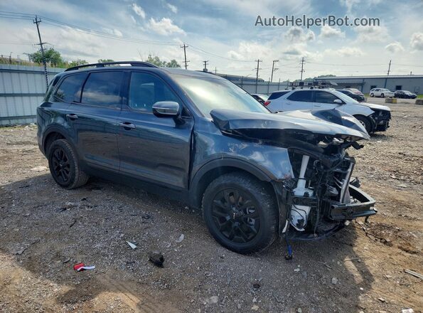 5XYP5DGC7RG539746 2024 KIA TELLURIDE Gray წინა მარჯვენა