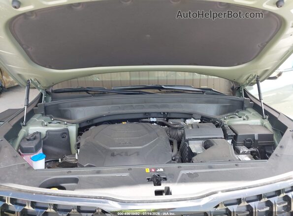 5XYP5DGC7SG699342 2025 KIA TELLURIDE Зеленый Вид сзади