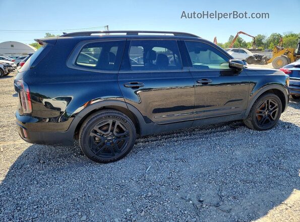 5XYP5DGC8RG421415 2024 KIA TELLURIDE Black Tył prawy