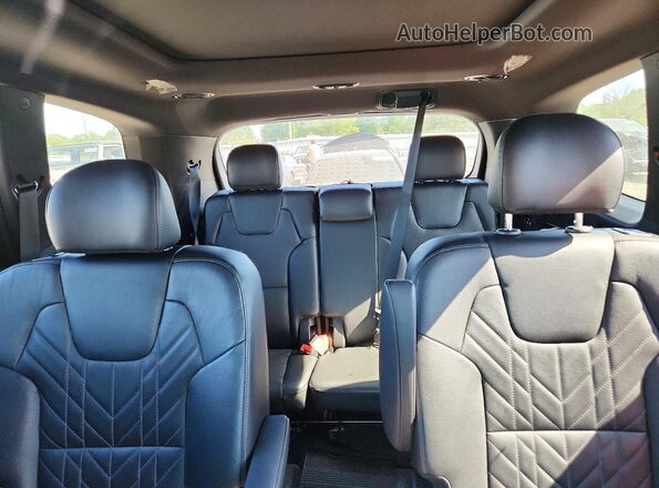 5XYP5DGC8RG421415 2024 KIA TELLURIDE Black Widok tylnych siedzeń