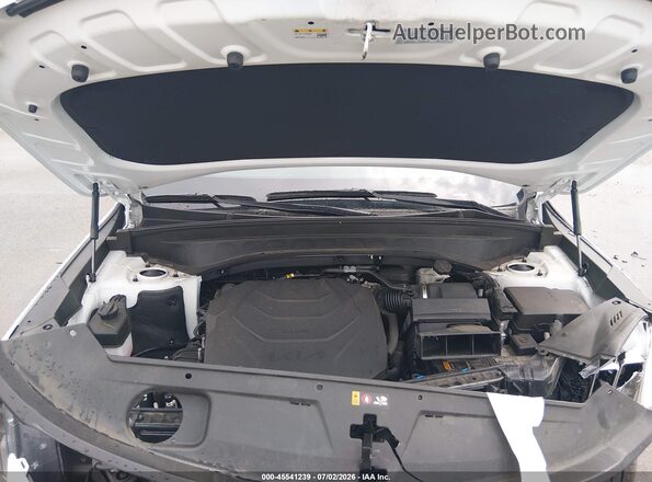 5XYP5DGC8RG443950 2024 KIA TELLURIDE White Вид ззаду