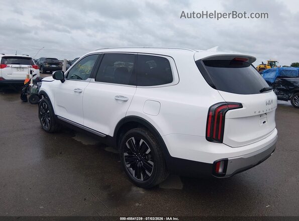 5XYP5DGC8RG443950 2024 KIA TELLURIDE White Задня ліва чверть