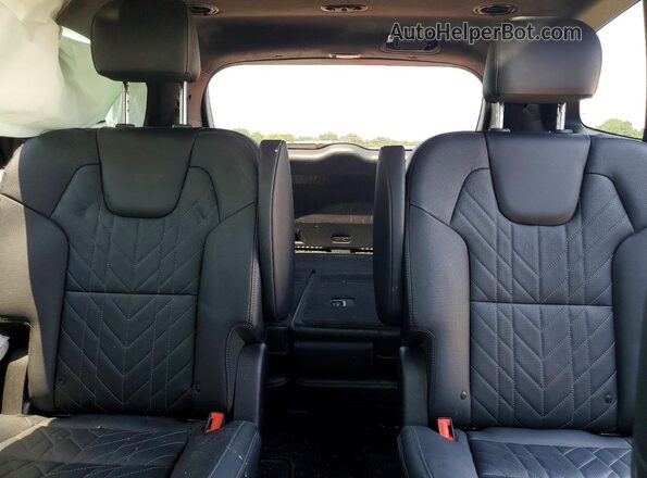 5XYP5DGC8RG479430 2024 KIA TELLURIDE Black Widok tylnych siedzeń