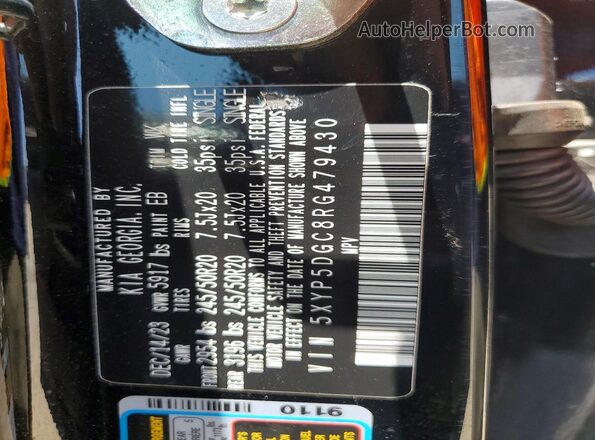 5XYP5DGC8RG479430 2024 KIA TELLURIDE Black Widok naklejki z numerem VIN