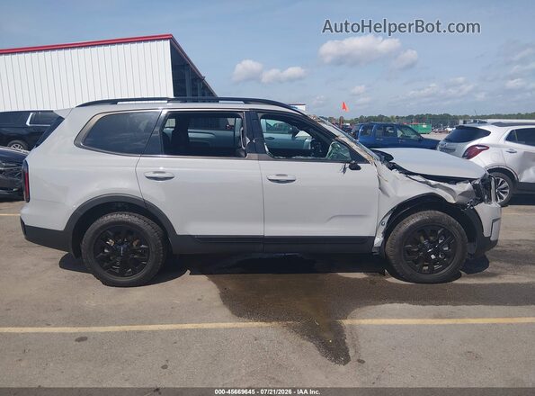 5XYP5DGC8RG535026 2024 KIA TELLURIDE Серый Вид задней части салона