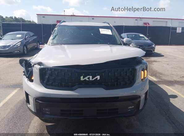 5XYP5DGC8RG535026 2024 KIA TELLURIDE Серый Вид щитка приборов