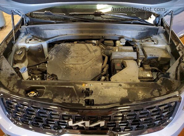 5XYP5DGC9RG413811 2024 KIA TELLURIDE Gray Engine compartment view