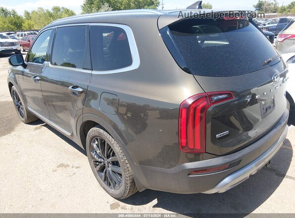 5XYP5DHC0LG075382 2020 KIA TELLURIDE Brown Rear left