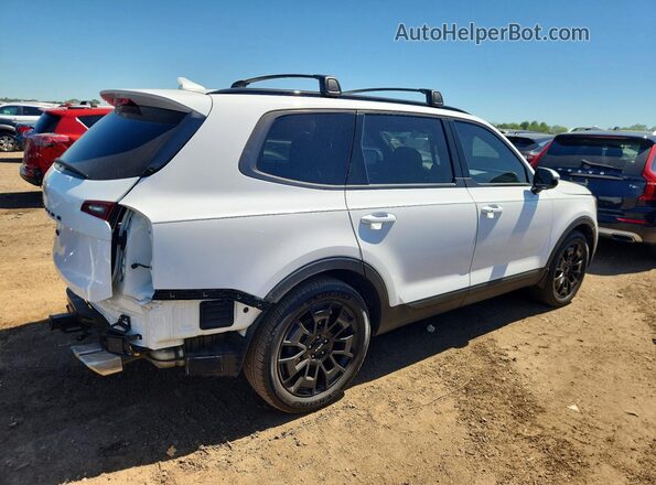 5XYP5DHC0NG213022 2022 KIA TELLURIDE White Tył prawy