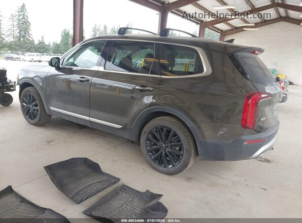 5XYP5DHC1LG085385 2020 KIA TELLURIDE Brown უკანა მარცხენა