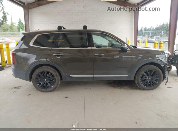 5XYP5DHC1LG085385 2020 KIA TELLURIDE Brown სალონის 360-გრადუსიანი ხედი