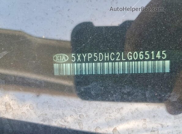 5XYP5DHC2LG065145 2020 KIA TELLURIDE White Вид підкапотного простору