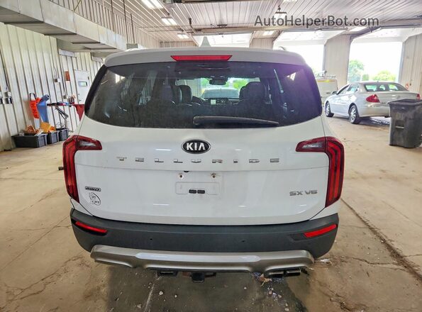 5XYP5DHC3LG029688 2020 KIA TELLURIDE White Հետևի տեսք