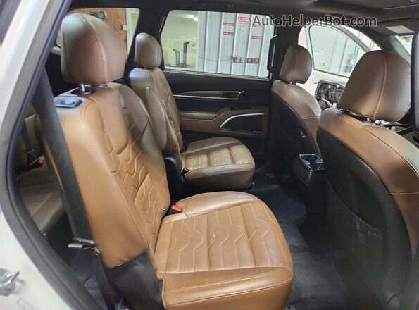 5XYP5DHC3LG029688 2020 KIA TELLURIDE White Սալոնի հետևի տեսք