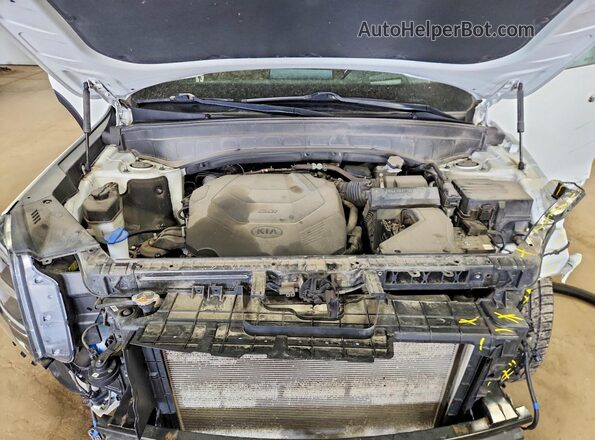 5XYP5DHC3LG029688 2020 KIA TELLURIDE White Շարժիչի բաժամունքի տեսք