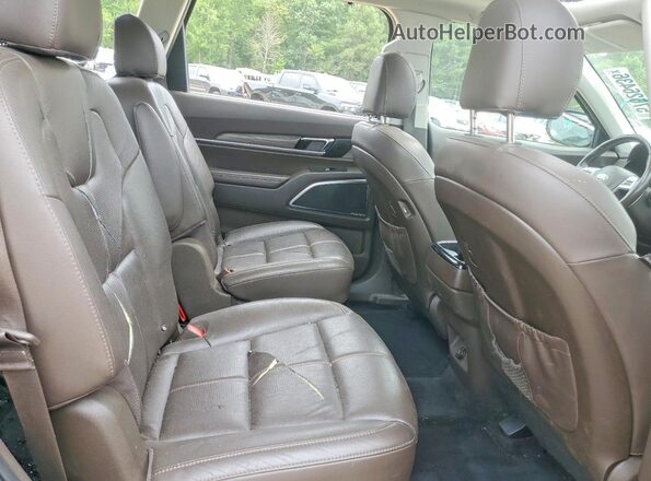 5XYP5DHC5LG088032 2020 KIA TELLURIDE Коричневый Вид задней части салона