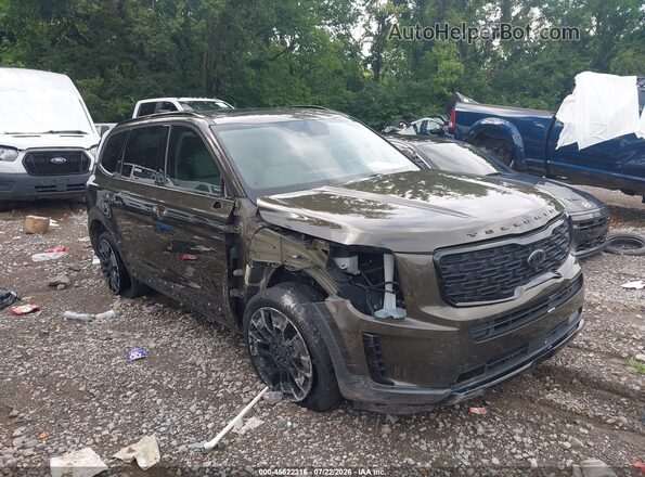 5XYP5DHC6MG126711 2021 KIA TELLURIDE Brown Widok wnętrza z tyłu