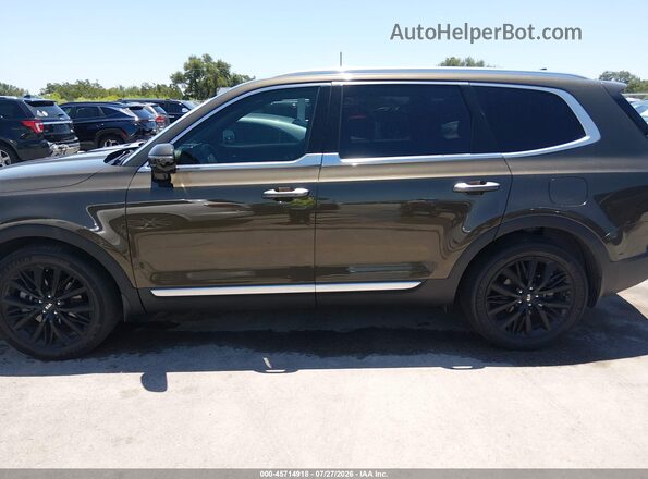 5XYP5DHC7LG062886 2020 KIA TELLURIDE Brown Widok wnętrza 360 stopni
