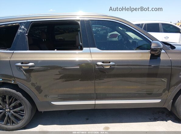 5XYP5DHC7LG062886 2020 KIA TELLURIDE Brown Widok wnętrza z tyłu