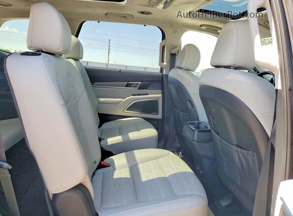 5XYP5DHC7MG128371 2021 KIA TELLURIDE Green Vista interior trasera