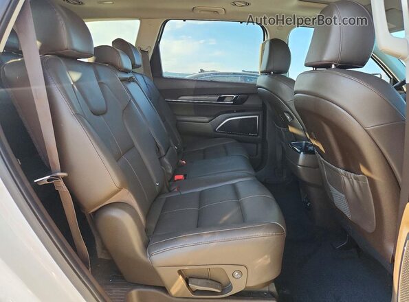 5XYP5DHC8LG013552 2020 KIA TELLURIDE White Rear interior view