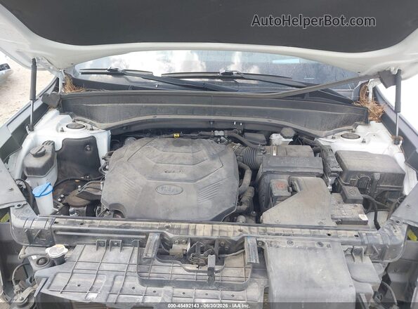 5XYP5DHC9MG144104 2021 KIA TELLURIDE White Widok z tyłu