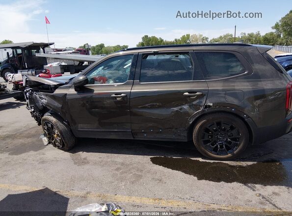 5XYP5DHC9NG217697 2022 KIA TELLURIDE Beige სალონის 360-გრადუსიანი ხედი