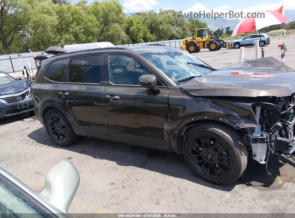 5XYP5DHC9NG217697 2022 KIA TELLURIDE Beige უკანა სალონის ხედი