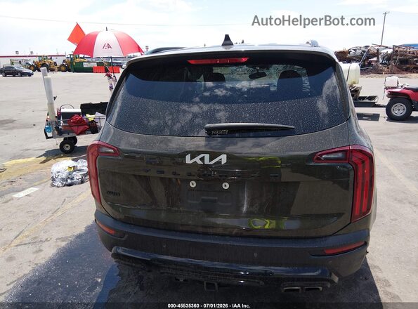 5XYP5DHC9NG217697 2022 KIA TELLURIDE Beige 