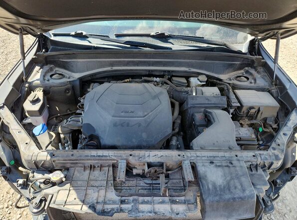 5XYP5DHCXNG213822 2022 KIA TELLURIDE Black Rear interior view