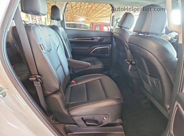5XYP64GC4SG642688 2025 KIA TELLURIDE Белый Вид задней части салона