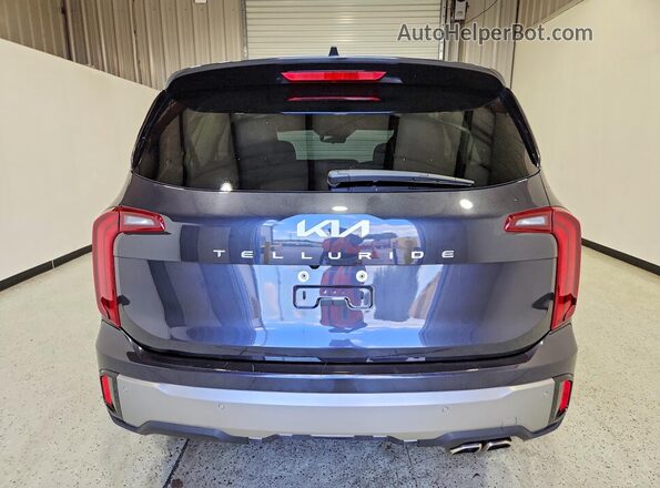 5XYP64GC6SG685526 2025 KIA TELLURIDE Silver Հետևի տեսք