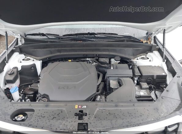 5XYP64GC6SG731839 2025 KIA TELLURIDE White Rear view