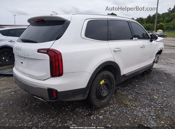 5XYP64GC7SG625920 2025 KIA TELLURIDE Белый Задняя правая четверть