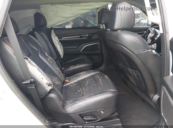 5XYP64GC7SG625920 2025 KIA TELLURIDE Белый Вид наклейки с VIN-кодом