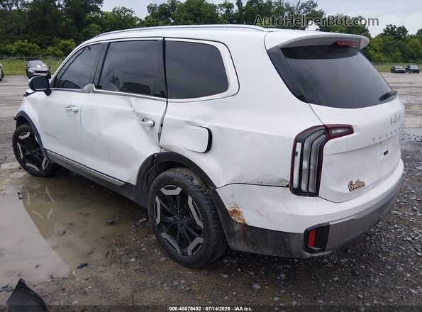 5XYP64GC7SG625920 2025 KIA TELLURIDE Белый Задняя левая четверть