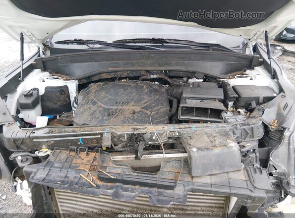 5XYP64GC7SG625920 2025 KIA TELLURIDE Белый Вид сзади