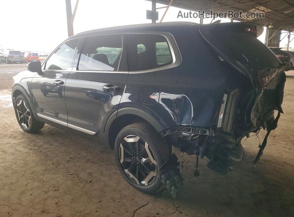 5XYP64GC7SG686166 2025 KIA TELLURIDE Blue Задня ліва чверть